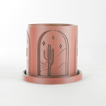 Cactus Planter by Rosebud HomeGoods