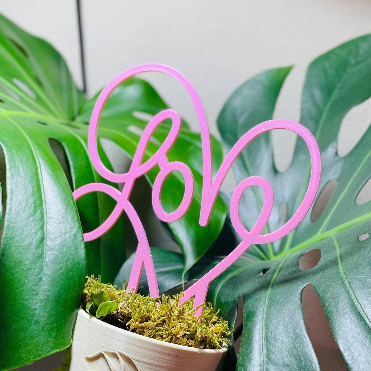 Love Hoop Plant Trellis by Rosebud HomeGoods