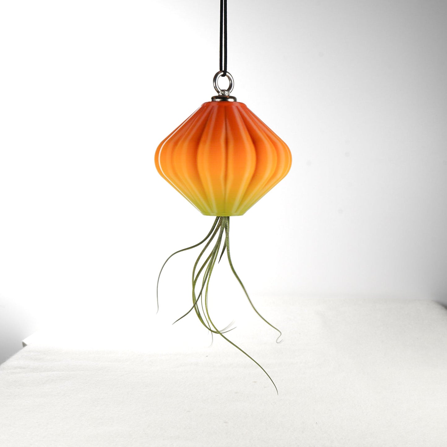 MAGNETIC Air Planter, JellyFish, Air Plant Included by Rosebud HomeGoods