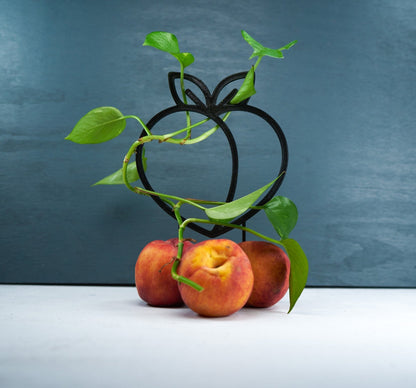 Peach Plant Trellis for Vining Plants by Rosebud HomeGoods