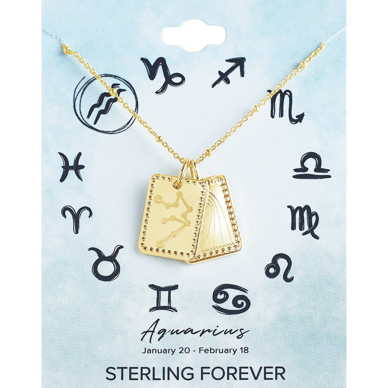 Zodiac Tag Necklace by Sterling Forever