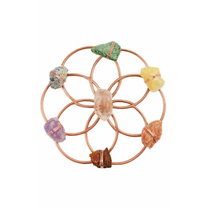 Rejilla de cristal curativo de la flor de la vida que equilibra los chakras de Ariana Ost