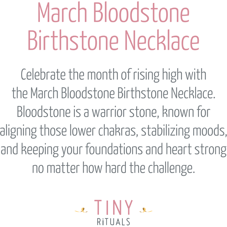 March Bloodstone Birthstone Necklace by Tiny Rituals